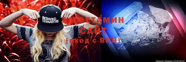 индика Михайловск