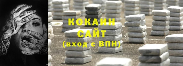 индика Михайловск