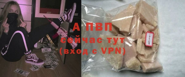 индика Михайловск
