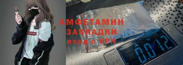 индика Михайловск