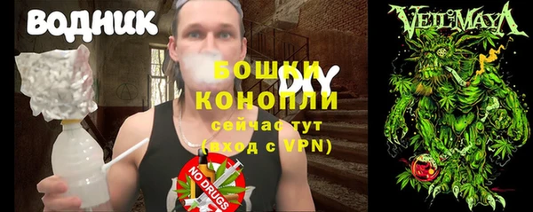 индика Михайловск