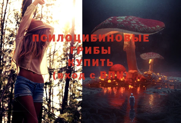 PSILOCYBIN Абинск