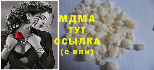 индика Михайловск