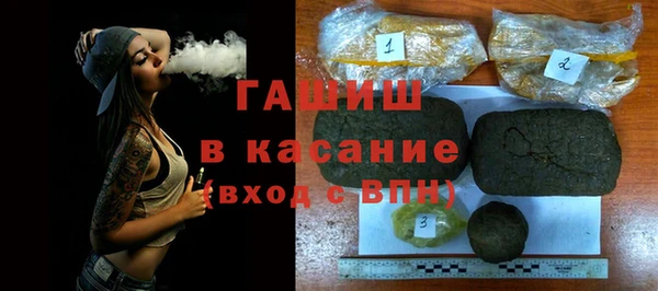 индика Михайловск
