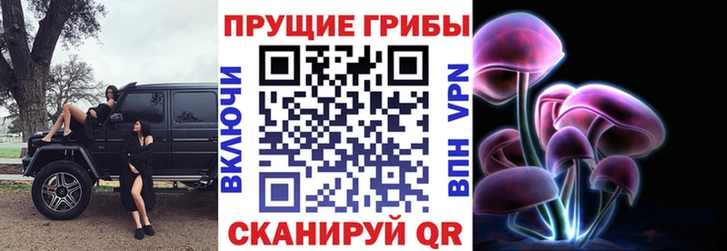 Псилоцибиновые грибы Psilocybine cubensis  darknet клад  Александровск-Сахалинский 